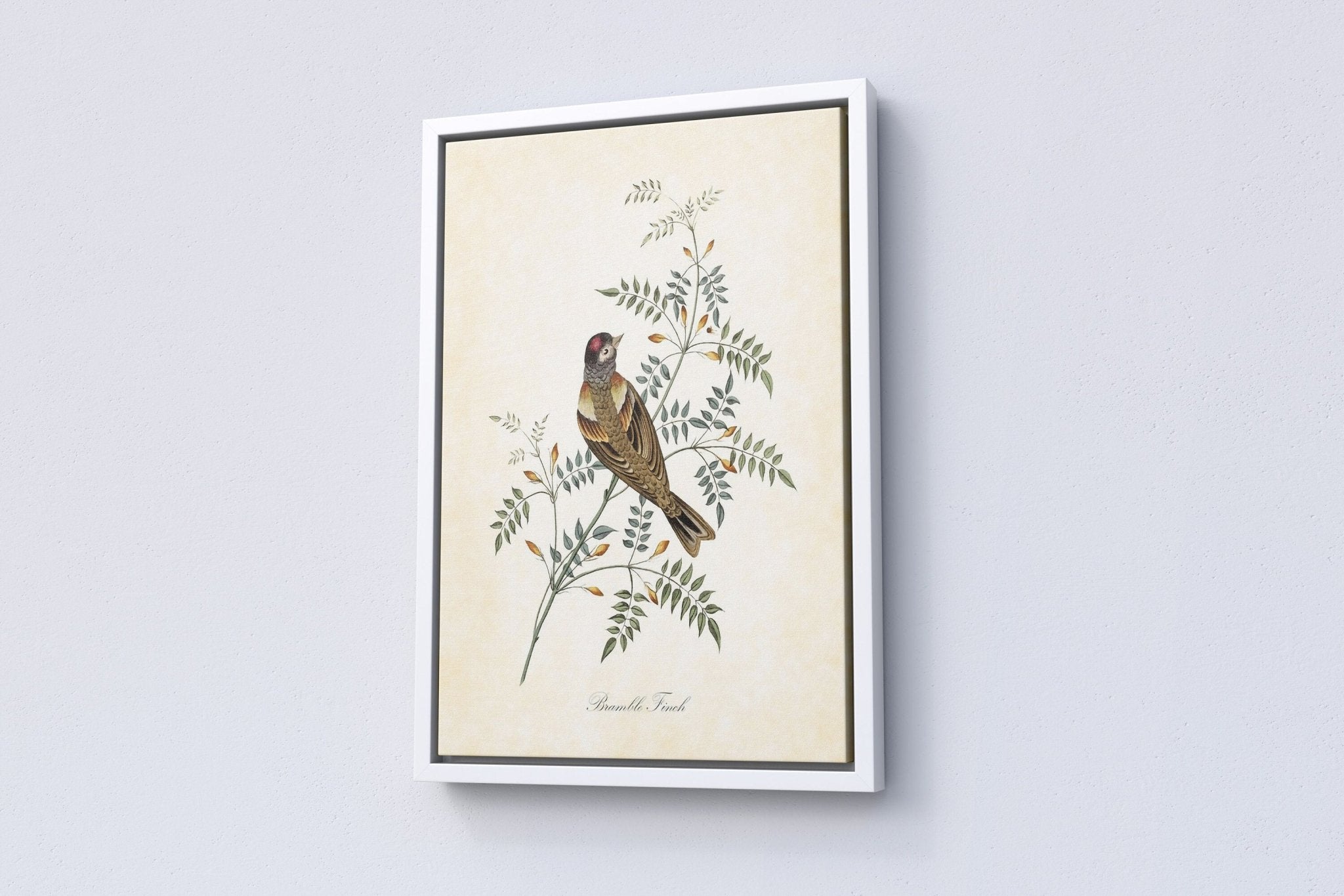 Vintage Bird Home Canvas Poster - Canvasworkshop
