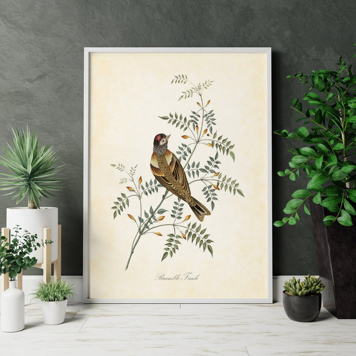 Vintage Bird Home Canvas Wall Art