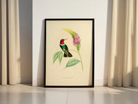 Vintage Bird Home Canvas Poster - Canvasworkshop