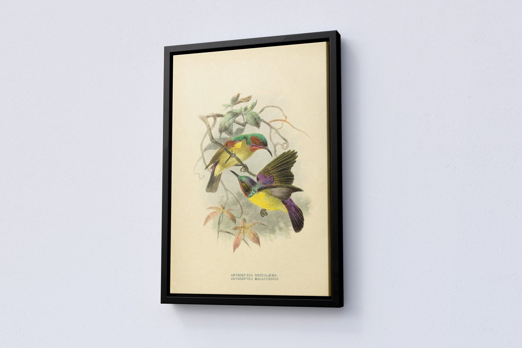 Vintage Bird Home Canvas Poster - Canvasworkshop