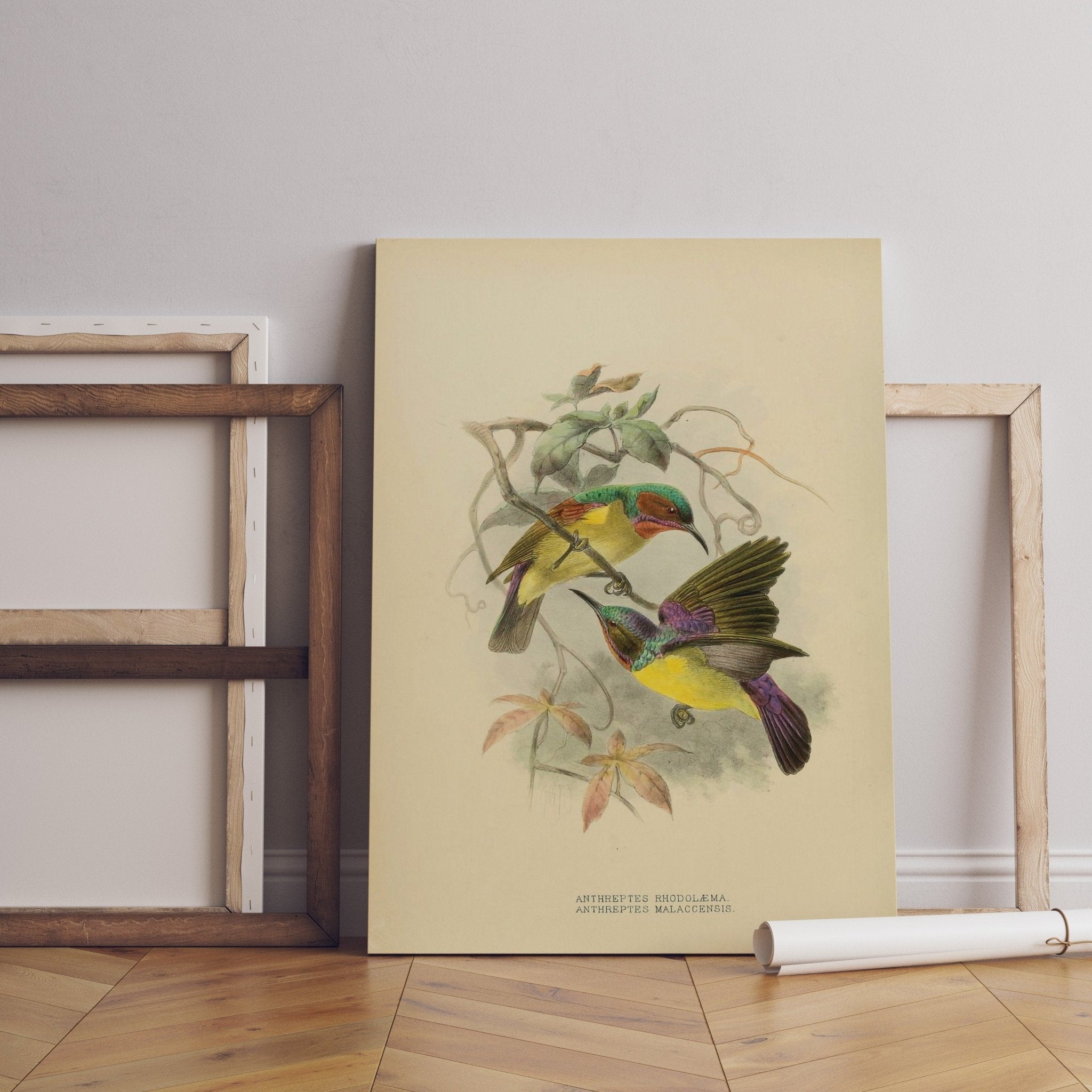 Vintage Bird Home Canvas Poster - Canvasworkshop