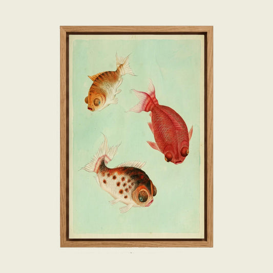 Vintage Goldfish canvas wall art in a floating oak frame