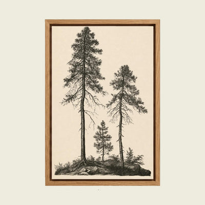 Feed Floating Oak Vintage Pine Tree Wall Art,Minimalist Neutral Nature Illustration for Rustic Cabin Decor,Antique Botanical Forest Illustration